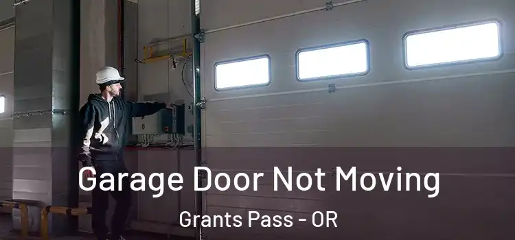  Garage Door Not Moving Grants Pass - OR